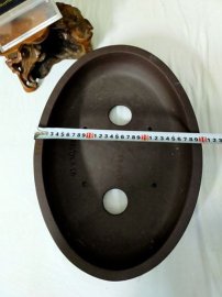 Chậu Bầu Dục Nhỏ
