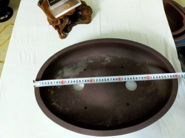 Chậu Bầu Dục Vừa