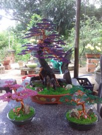 Bonsai dây đồng