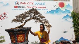 Cà Phê Bonsai