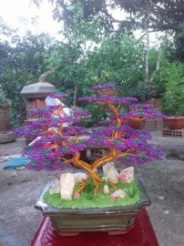 Anh chị em ngắm vui
