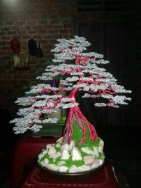 Đơn giản chỉ vì đam mê