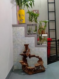Một ngày nghĩ bù đã hoàn thành hồ thủy sinh giản đơn đón tết