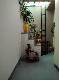 Một ngày nghĩ bù đã hoàn thành hồ thủy sinh giản đơn đón tết