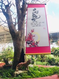 Tranh thủ buổi trưa phơi chữ cho khô mực