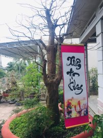 Tranh thủ buổi trưa phơi chữ cho khô mực