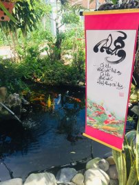 Tranh thủ buổi trưa phơi chữ cho khô mực