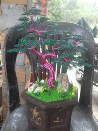 Mẫu mới