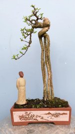 Hồng Ngọc Mai