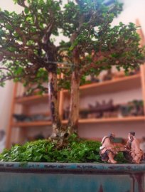 Tác phẩm: Huynh Đệ Cổ Mộc