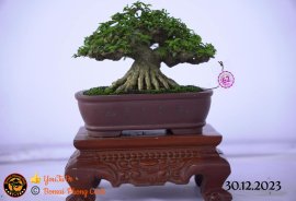 Một số tác phẩm tại hội thi festival sadec (P5) 