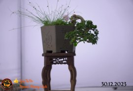 Một số tác phẩm tại hội thi festival sadec (P5) 