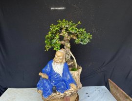Sam trái ae thích ib e ạk