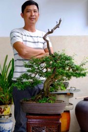 Mình cần bán 2 cây linh sam