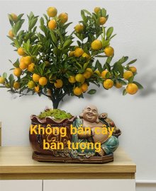 Mới ra lò nóng bỏng tay