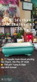 Chậu Bonsai các loại, giá từ 180k