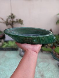 350k bay nhanh
