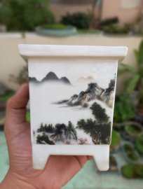 Vài trăm k chậu cũ chơi đi ae. Bao rẻ toàn quốc