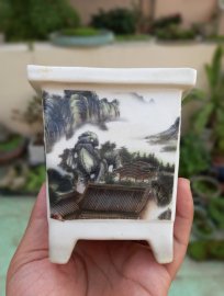 Vài trăm k chậu cũ chơi đi ae. Bao rẻ toàn quốc