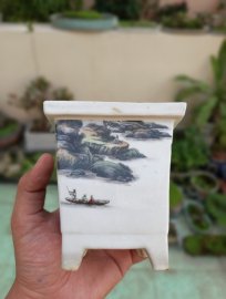 Vài trăm k chậu cũ chơi đi ae. Bao rẻ toàn quốc