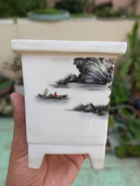 Vài trăm k chậu cũ chơi đi ae. Bao rẻ toàn quốc