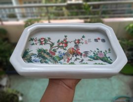 Thịt gà vài xị mời ae