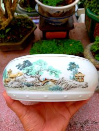 Ngắm bức tranh trên chậu thôi cũng đẹp