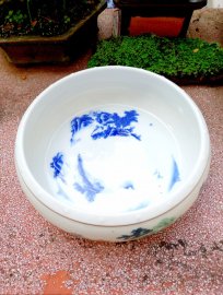 Ngắm bức tranh trên chậu thôi cũng đẹp