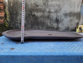 Chậu tàu gl ạ