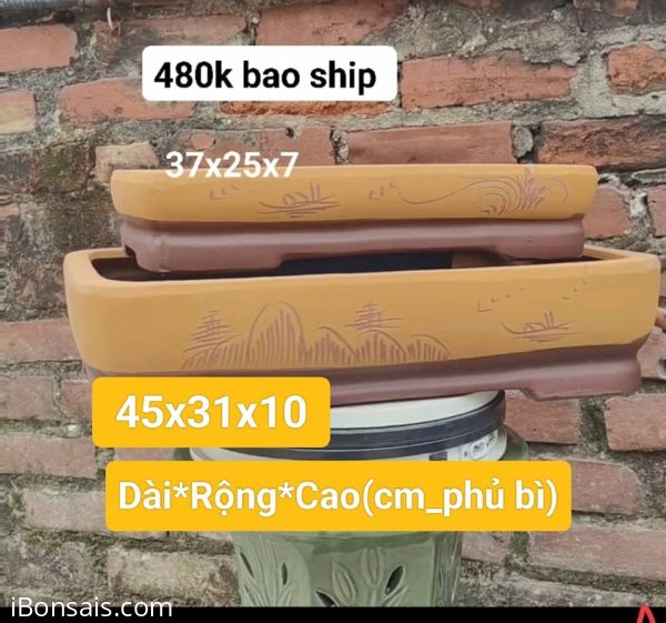 Cần thanh lý hàng bom #430k bao ship