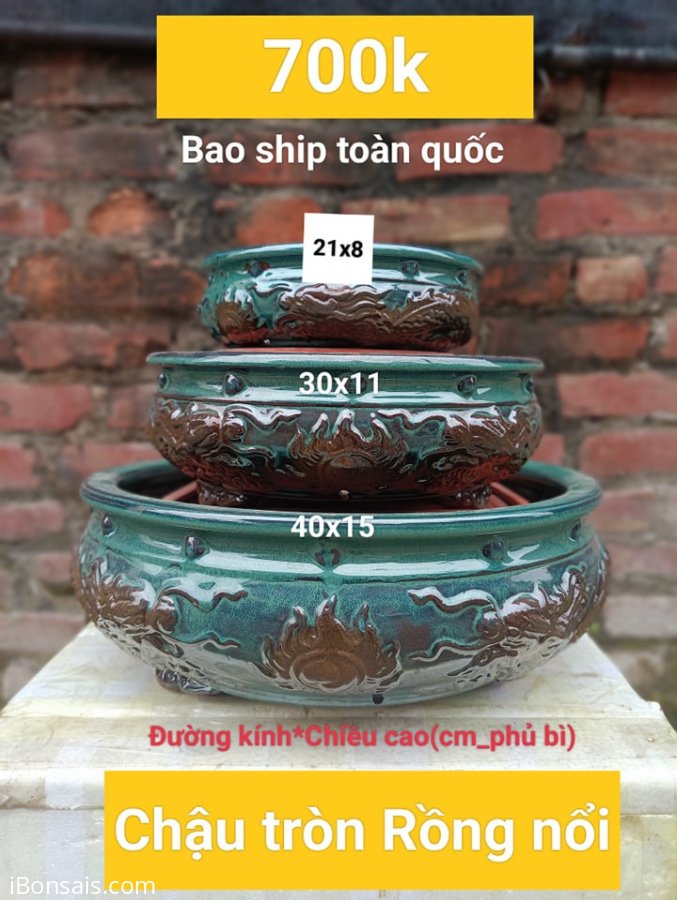 Dọn kho thanh lý tết #620k bao ship