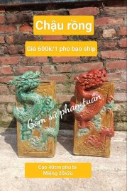 Sale 550k nhé anh em