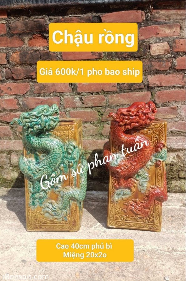 Sale 550k nhé anh em