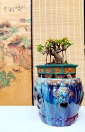 Hãy chơi theo cách của bạn