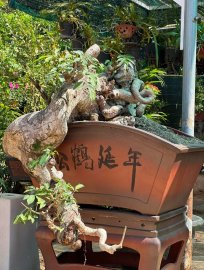 Rồi em ấy cũng được người ta biết đến thôi à