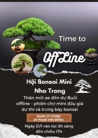 Offline Hội Bonsai Mini Nha Trang
