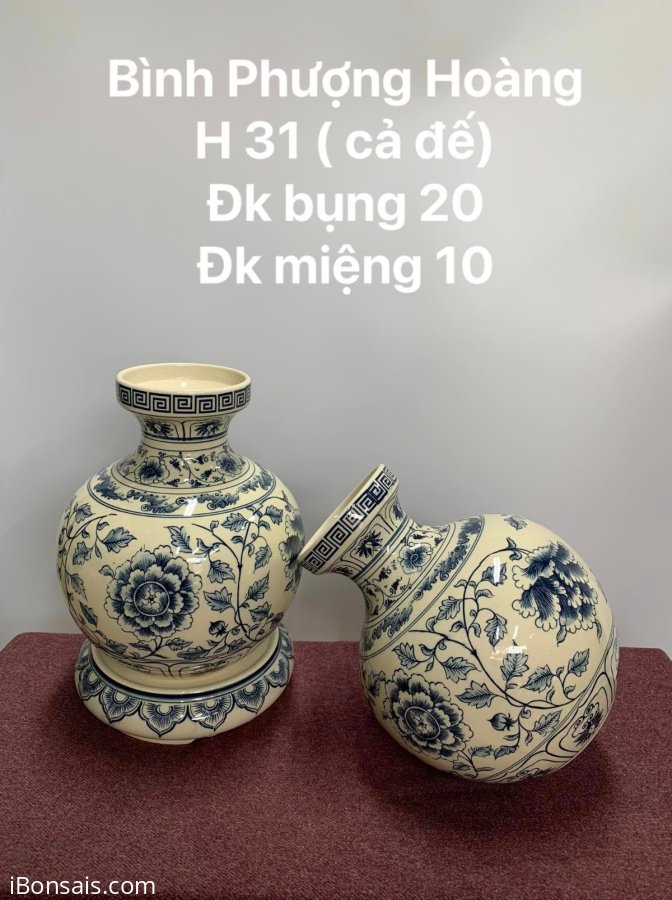 Em còn còn 3 bình phượng hòa