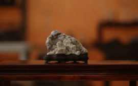 Sự tĩnh lặng của đá