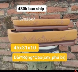 Chốt nào. Sale 440k