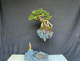 Nhìn cũng lạ lạ ae thích ib e sam trái
