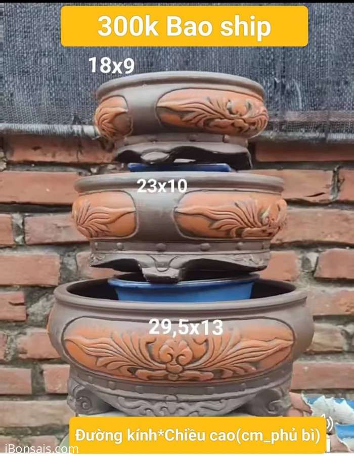 Mùng 1 em sale mở hàng 10 bộ #250k 1 bộ bao ship
