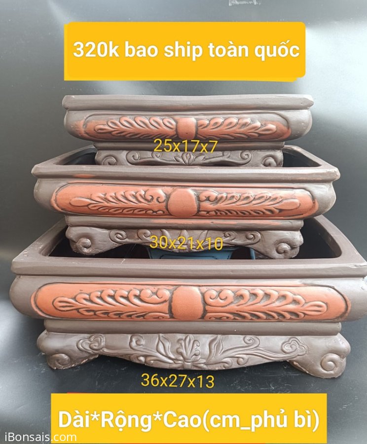 Cuối năm rồi đại tiệc sale #290k