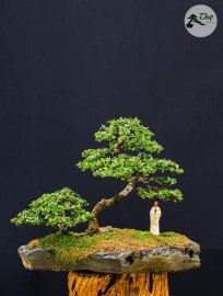 Bao tiền một mớ bình yên