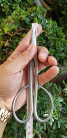 Kéo tỉa dăm cao cấp Nasu trái cà tím chất thép trắng không rỉ,size 180
