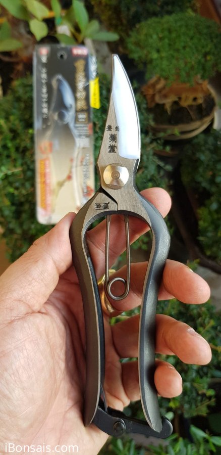 Kéo tỉa nụ chồi,chi dăm và cành nhỏ nhãn hiệu Takagi Nhật Bản mới tinh