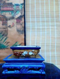 Xả kho mời ae