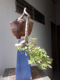 Hoa giấy ghép Cẩm Thạch tím...