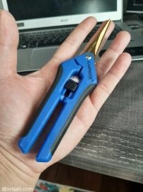 Đấu giá kéo tỉa LUMO-X, sản phẩm của Canada, lưỡi mạ Titan màu vàng