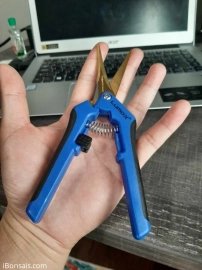 Đấu giá kéo tỉa LUMO-X, sản phẩm của Canada, lưỡi mạ Titan màu vàng