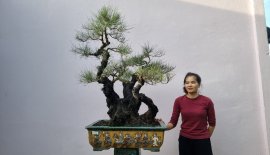 Phi lao hàng già chát
